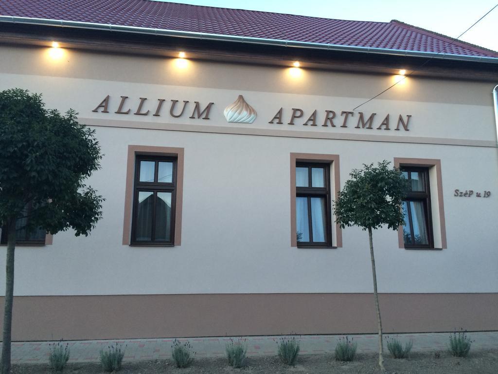 Allium Apartment Makó Dış mekan fotoğraf